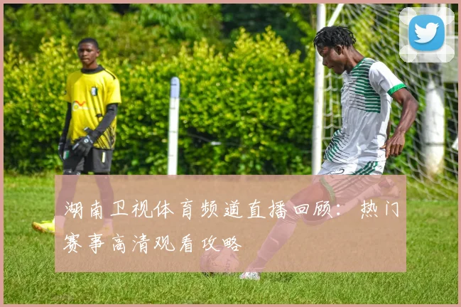湖南卫视体育频道直播回顾：热门赛事高清观看攻略