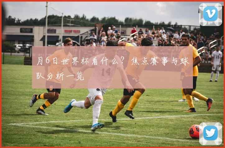 月6日世界杯看什么?焦点赛事与球队分析一览